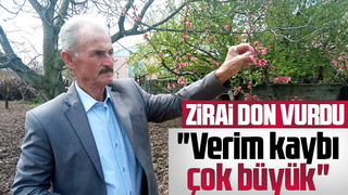 Pamukovalı çiftçinin zararı büyük