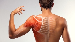 Pandemi sürecinde kas ağrıları arttı