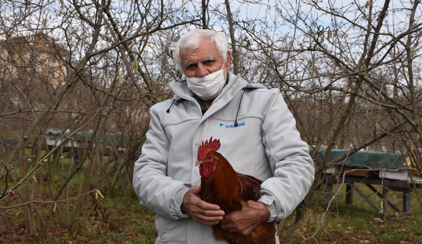 Pandemide tavukları ile vakit geçiriyor!