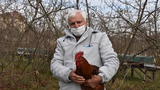 Pandemide tavukları ile vakit geçiriyor!