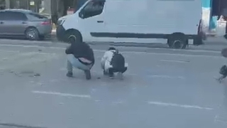 Paralar yola saçıldı