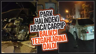Park halindeki araca ve balıkçı tezgahlarına çarptı