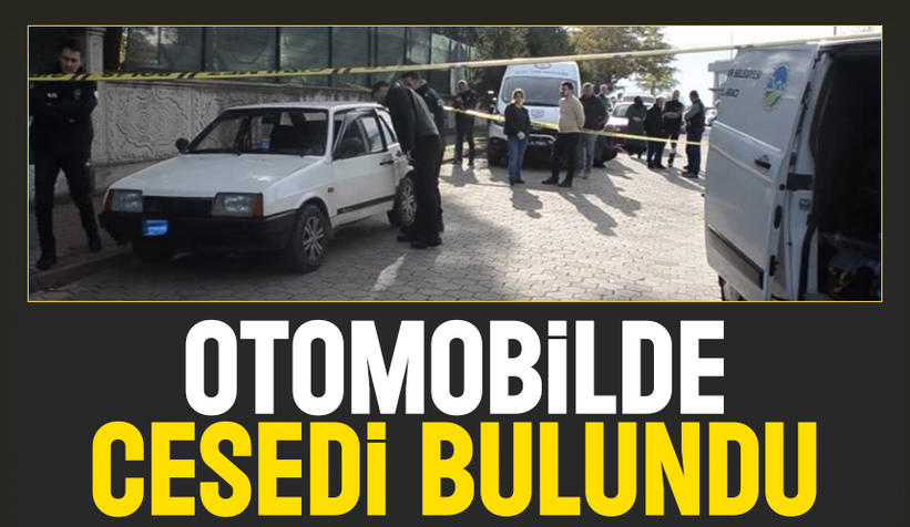 Park halindeki otomobilde ölü bulundu