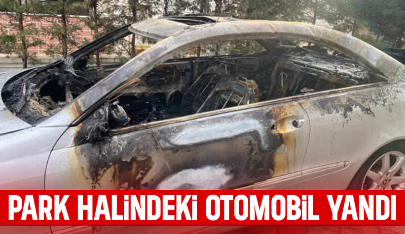 Park halindeki otomobilde yangın