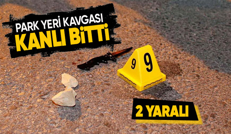 Park yeri kavgasında kan aktı
