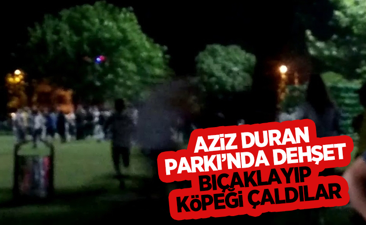 Parkta iki genci bıçakladılar