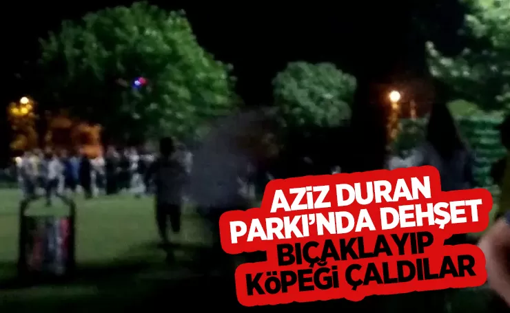 Parkta iki genci bıçakladılar