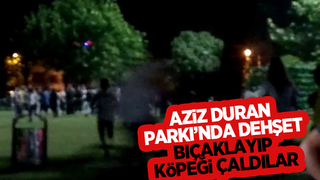 Parkta iki genci bıçakladılar