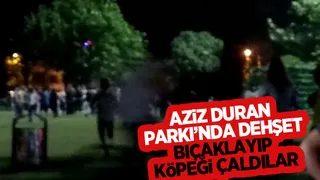 Parkta iki genci bıçakladılar