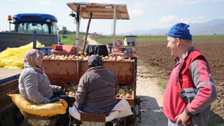 Patates diyarında çiftçiler ekim mesaisinde