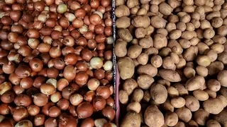 Patates, soğan ve çeltik ücretsiz dağıtılacak