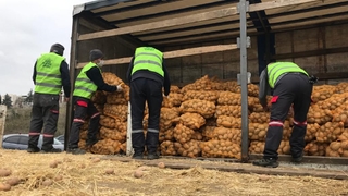 Patates ve soğanlar ücretsiz dağıtılmaya başlandı