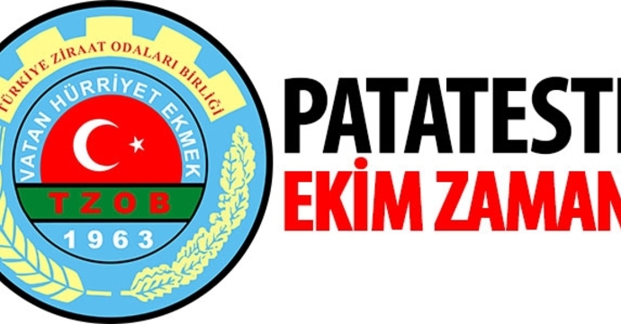 Patateste Ekim Zamanı