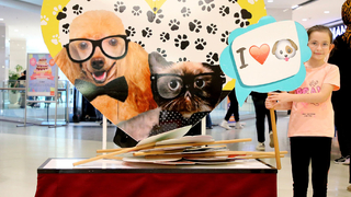 Pati Festivali renkli görüntülere sahne oldu