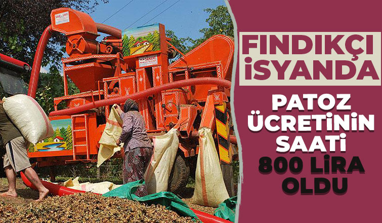 Patozun saatliği 800 lira oldu