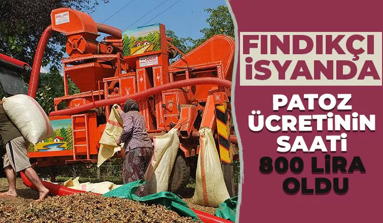 Patozun saatliği 800 lira oldu