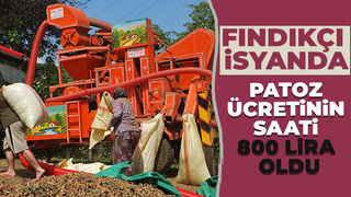 Patozun saatliği 800 lira oldu