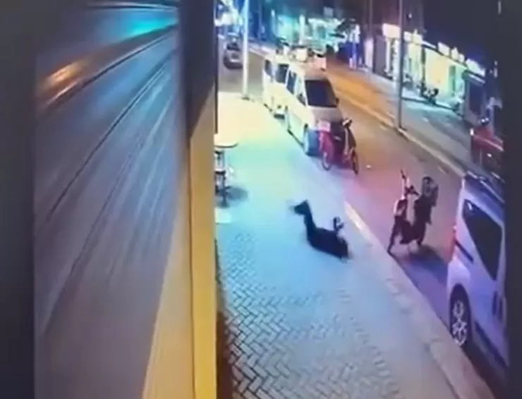 Pencereden düşüp ölen genç kadının sevgilisi gözaltına alındı