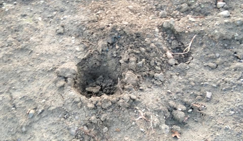 Pes dedirten olay; Ekilen fidanları çaldılar