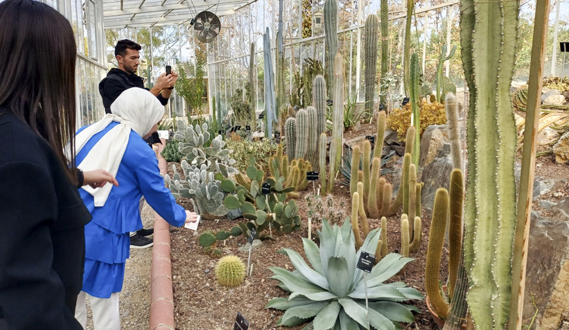 Peyzaj Topluluğu’ndan İstanbul’a teknik gezi