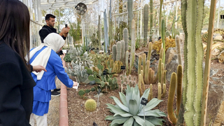 Peyzaj Topluluğu’ndan İstanbul’a teknik gezi
