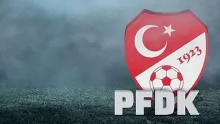 PFDK Sakaryaspor'un cezasını açıkladı