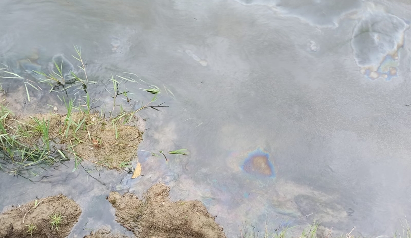 Pikniğe giden Akyazılı aile büyük şok yaşadı