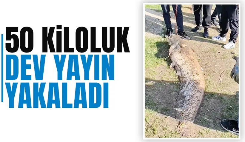Piknikte 50 kiloluk yayın yakaladı