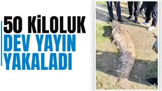 Piknikte 50 kiloluk yayın yakaladı