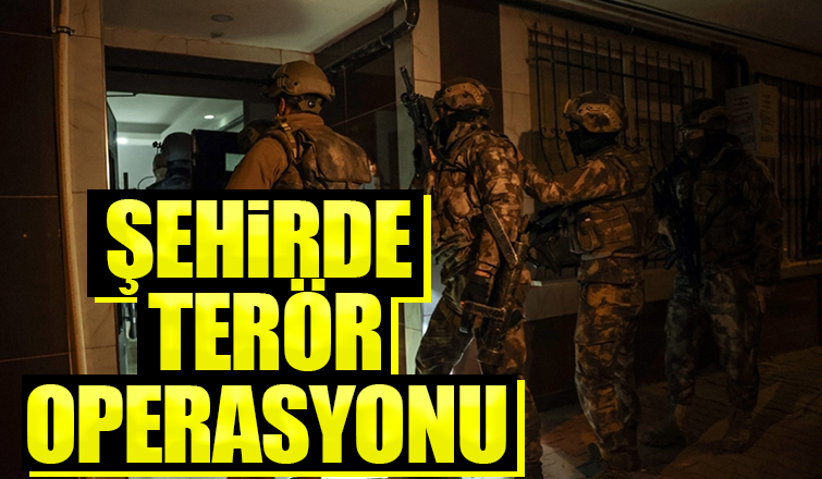 PKK üyesi gözaltına alındı