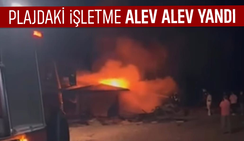 Plajda korku dolu anlar, Alevlere teslim oldu