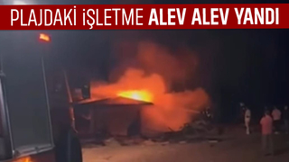 Plajda korku dolu anlar, Alevlere teslim oldu