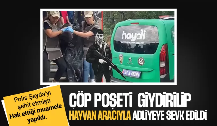  Polis Şeyda'yı şehit eden cani hayvan taşıma aracına bindirildi
