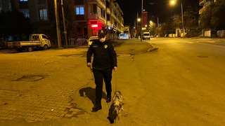 Polisler başı boş gezerken buldu