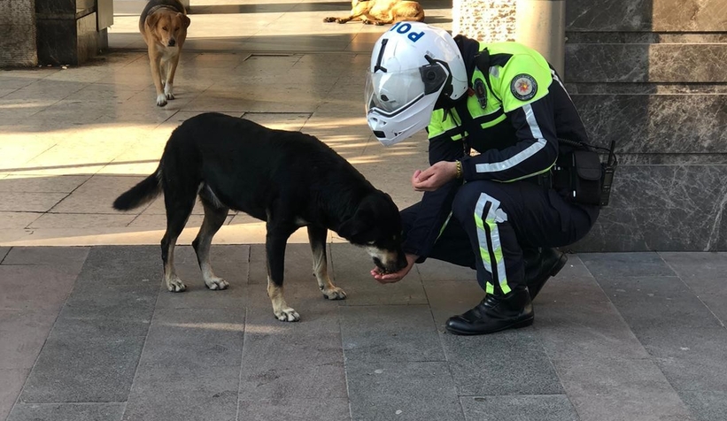 Polisler sokak hayvanlarını besledi