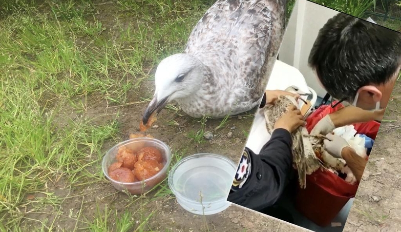 Polisler uygulama sırasında buldu
