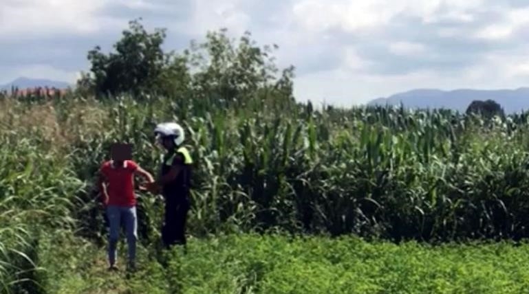 Polisten kaçış mısır bahçesinde son buldu