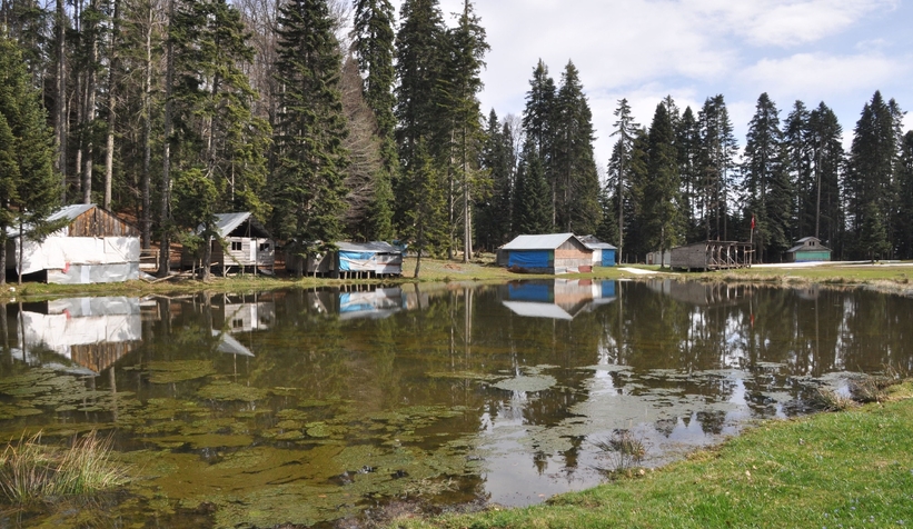 Pürenli Yaylası doğaseverlerin uğrak noktası oldu