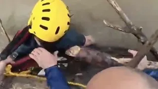 Rafting faciasının acı sonu kamerada