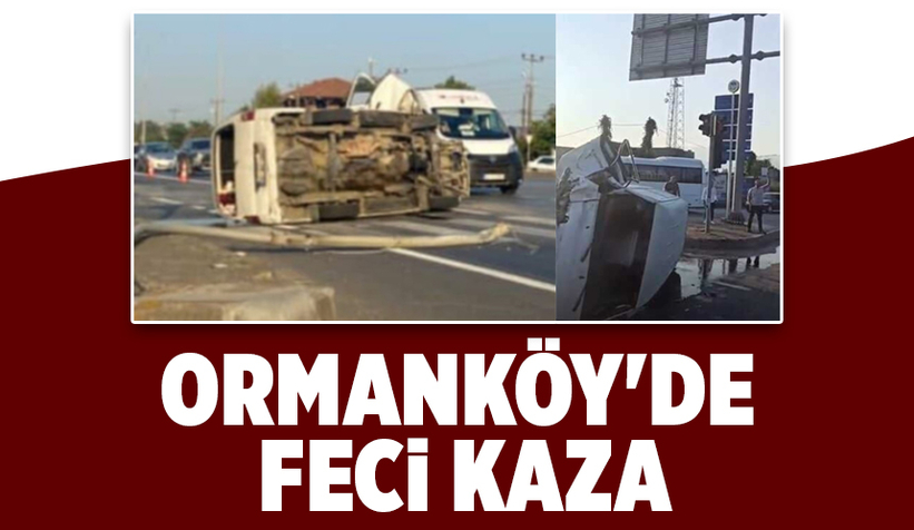 Refüje ve aydınlatma direğine çarptı: 1 ağır yaralı