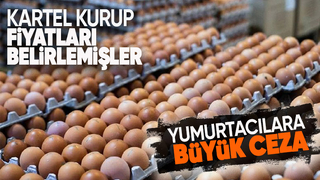 Rekabet Kurulu'ndan yumurtacılara 98 milyon TL ceza