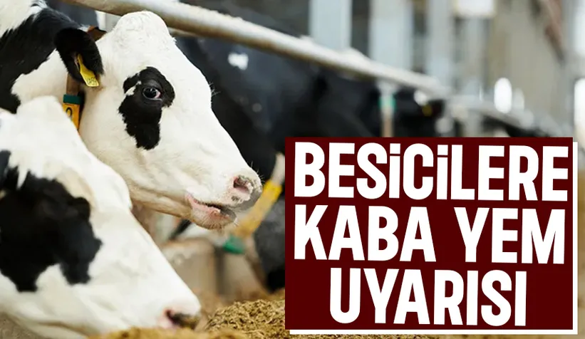 Rekolte bu sene düştü, hayvan sahiplerine önemli uyarısı