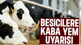 Rekolte bu sene düştü, hayvan sahiplerine önemli uyarısı