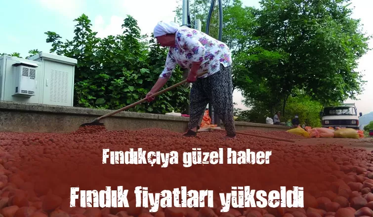 Rekolte düşüklüğü fındık fiyatlarını yükseltti