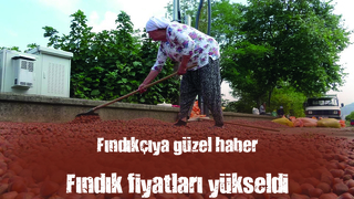 Rekolte düşüklüğü fındık fiyatlarını yükseltti
