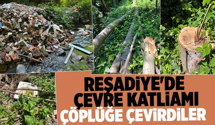 Reşadiye'de çevre katliamı
