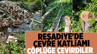 Reşadiye'de çevre katliamı