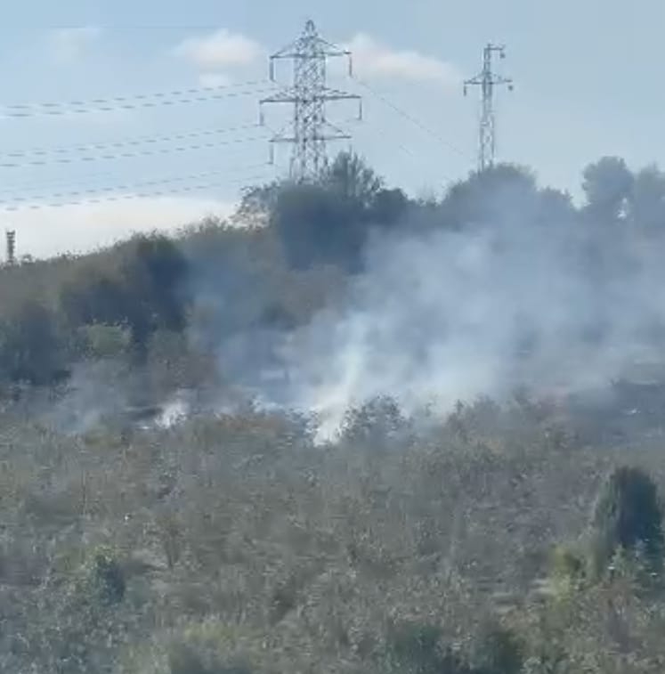 Reşadiye'de fındık bahçesinde yangın 