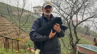Rize'de bir kişi bacağı kırılan kuzusunu hastaneye götürdü