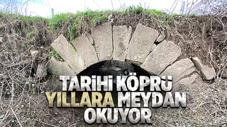 Roma Köprüsü restore edilmeyi bekliyor